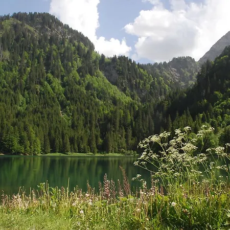 Chalet La Dranse Abondance